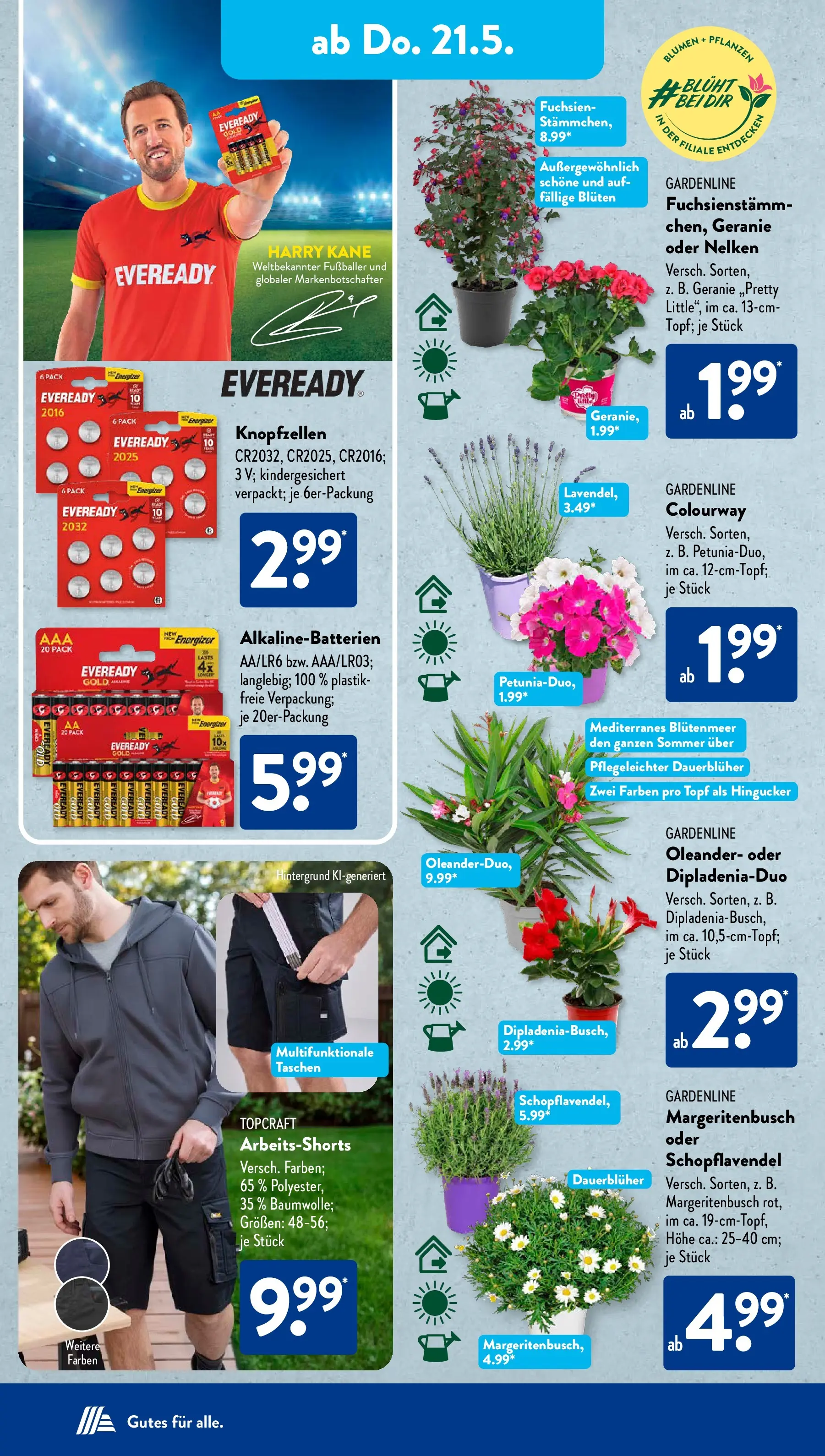 Aldi Süd - Aldi Süd: Wochenangebote (ab 17.05.2026) zum Blättern | Seite: 19 | Produkte: Blumen