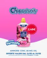 Opportunity Shop Maxi Formato - al 23.05.2026