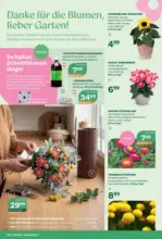 Bellaflora: Flugblatt