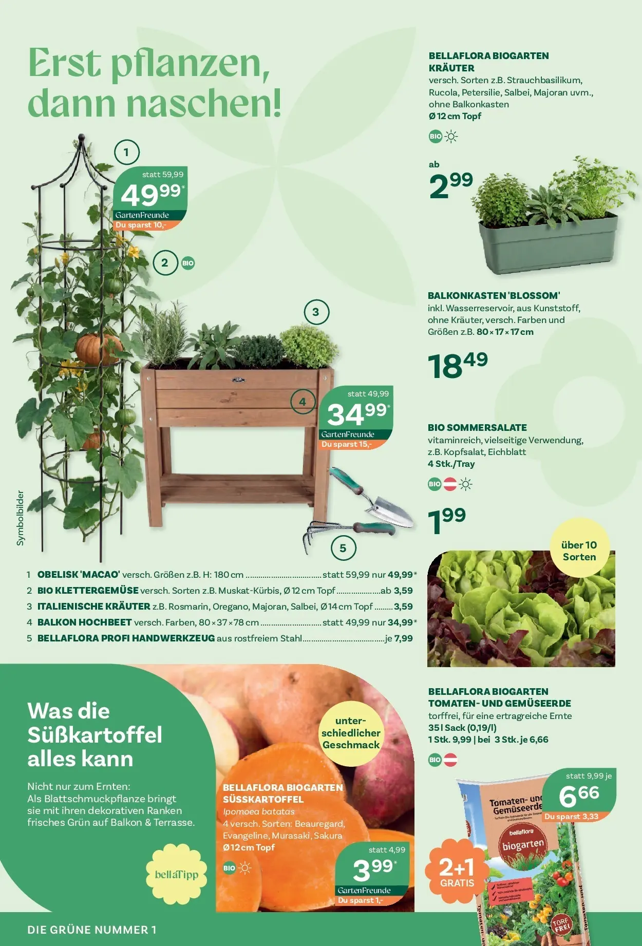 bellaflora Flugblatt - Villach, Wien, Vösendorf von 21.05.2026 - Aktuelle Angebote | Seite: 6 | Produkte: Tomaten