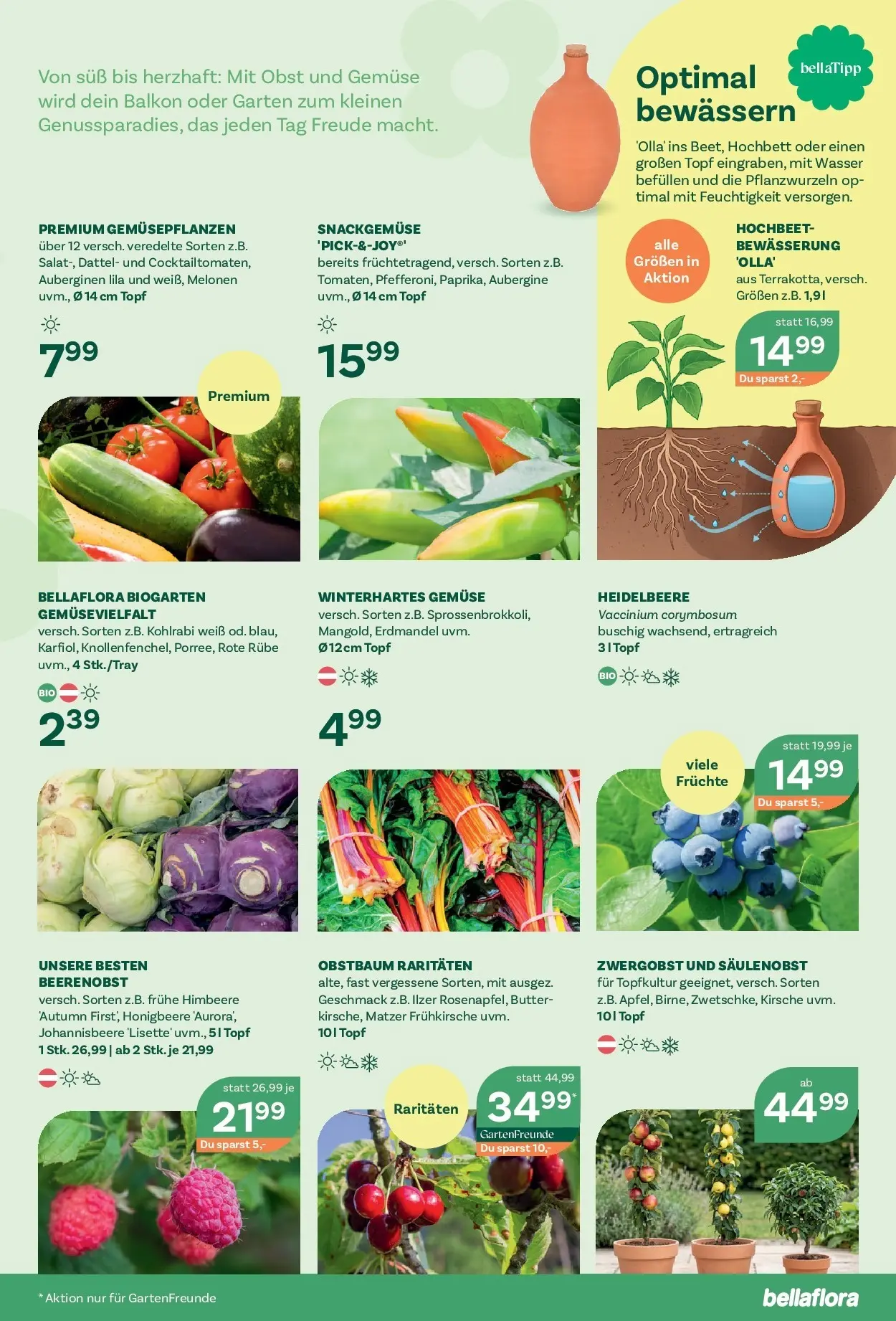 bellaflora Flugblatt - Villach, Wien, Vösendorf von 21.05.2026 - Aktuelle Angebote | Seite: 7 | Produkte: Wasser, Aubergine, Dattel, Himbeere