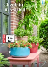 Blumen Ostmann - Erlebe deinen Garten