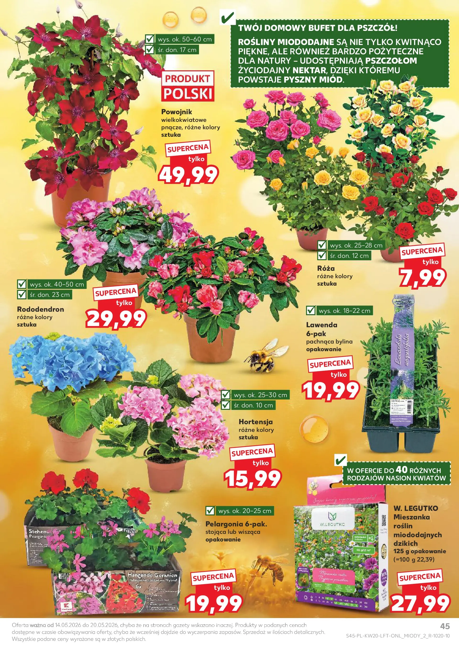 Kaufland - Kaufland Gazetka Tygodnia ważna do 20.05 (13.05.2026) - od jutra | Strona: 45 | Produkty: Rosliny Kaufland - Kaufland Gazetka Tygodnia ważna do 20.05 od 13.05.2026 - od jutra PDF | Strona: 45 | Produkty: Rosliny