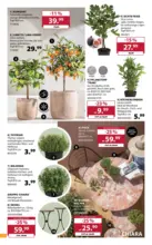 Dehner: Garten & Zoo