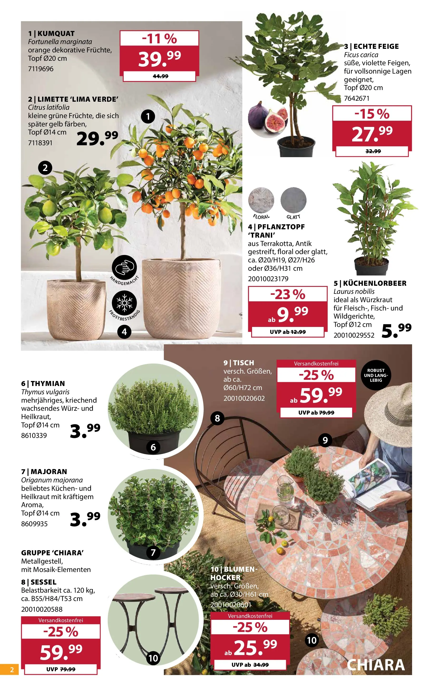 Dehner - Dehner: Garten & Zoo (ab 18.05.2026) zum Blättern | Seite: 2 | Produkte: Sessel, Tisch, Blumen, Limette