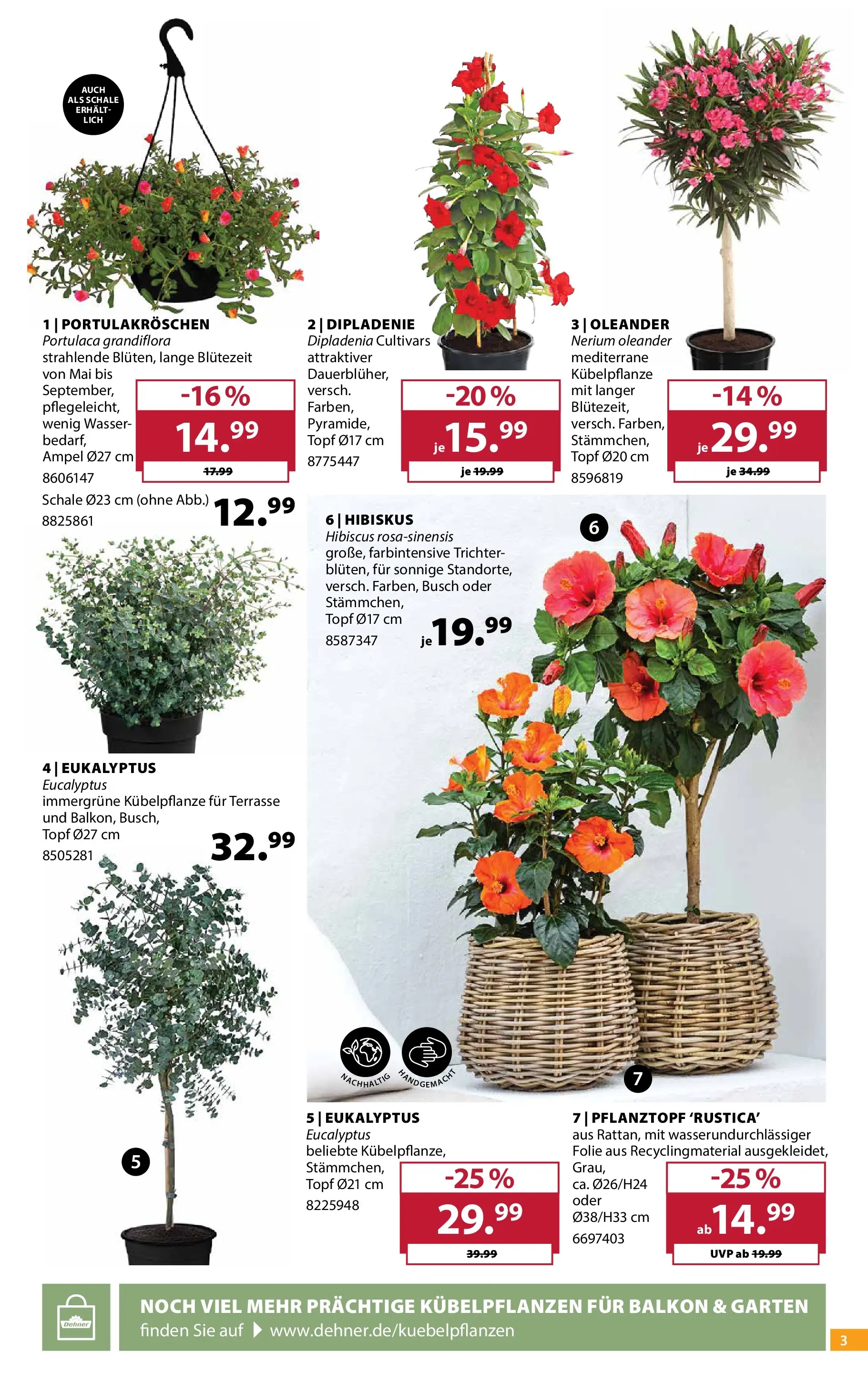 Dehner - Dehner: Garten & Zoo (ab 18.05.2026) zum Blättern | Seite: 3 | Produkte: Wasser