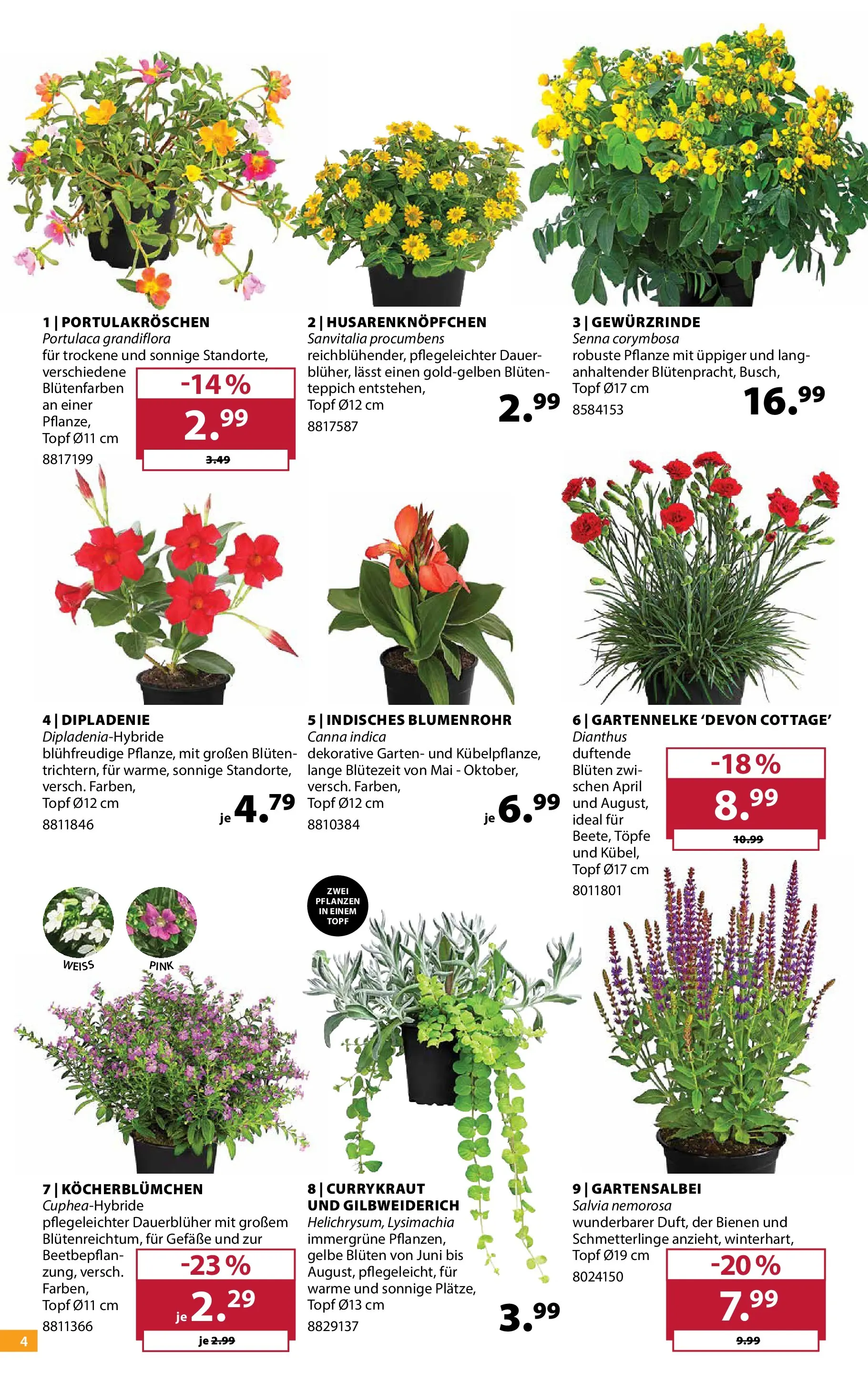 Dehner - Dehner: Garten & Zoo (ab 18.05.2026) zum Blättern | Seite: 4 | Produkte: Teppich