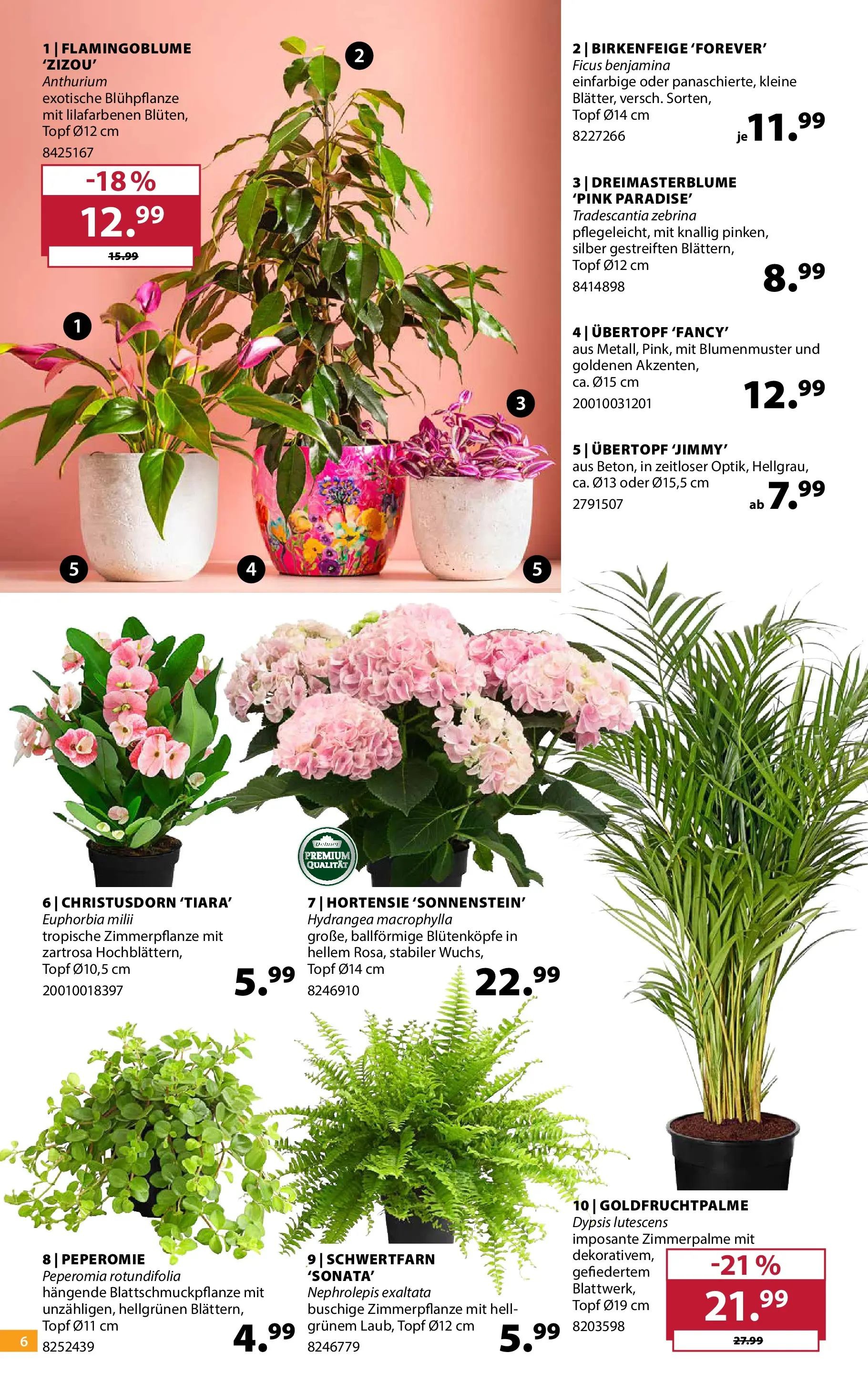 Dehner - Dehner: Garten & Zoo (ab 18.05.2026) zum Blättern | Seite: 6 | Produkte: Hortensie