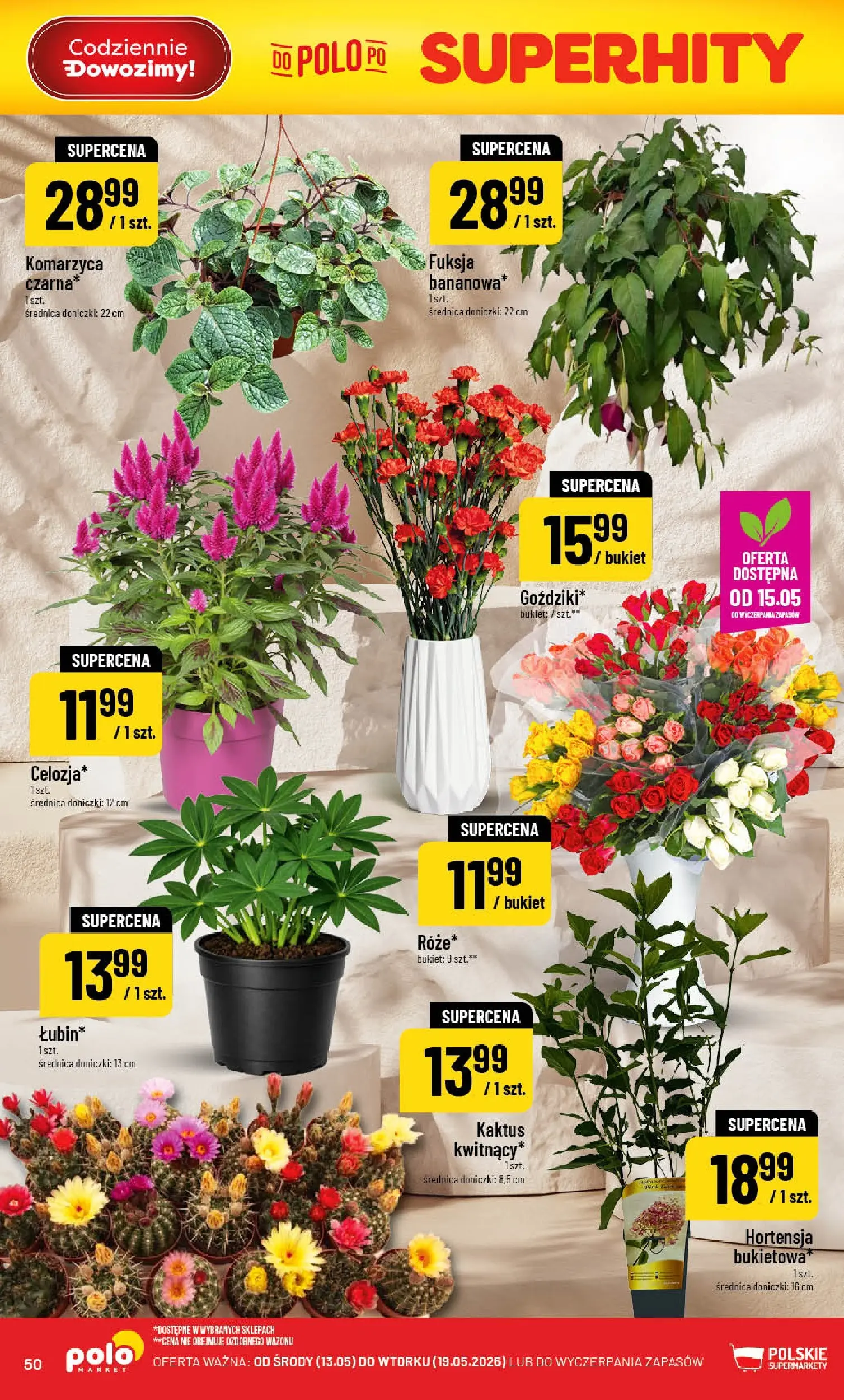 Nowa POLOmarket gazetka od jutra 13.05.2026 | Strona: 50 | Produkty: Doniczki