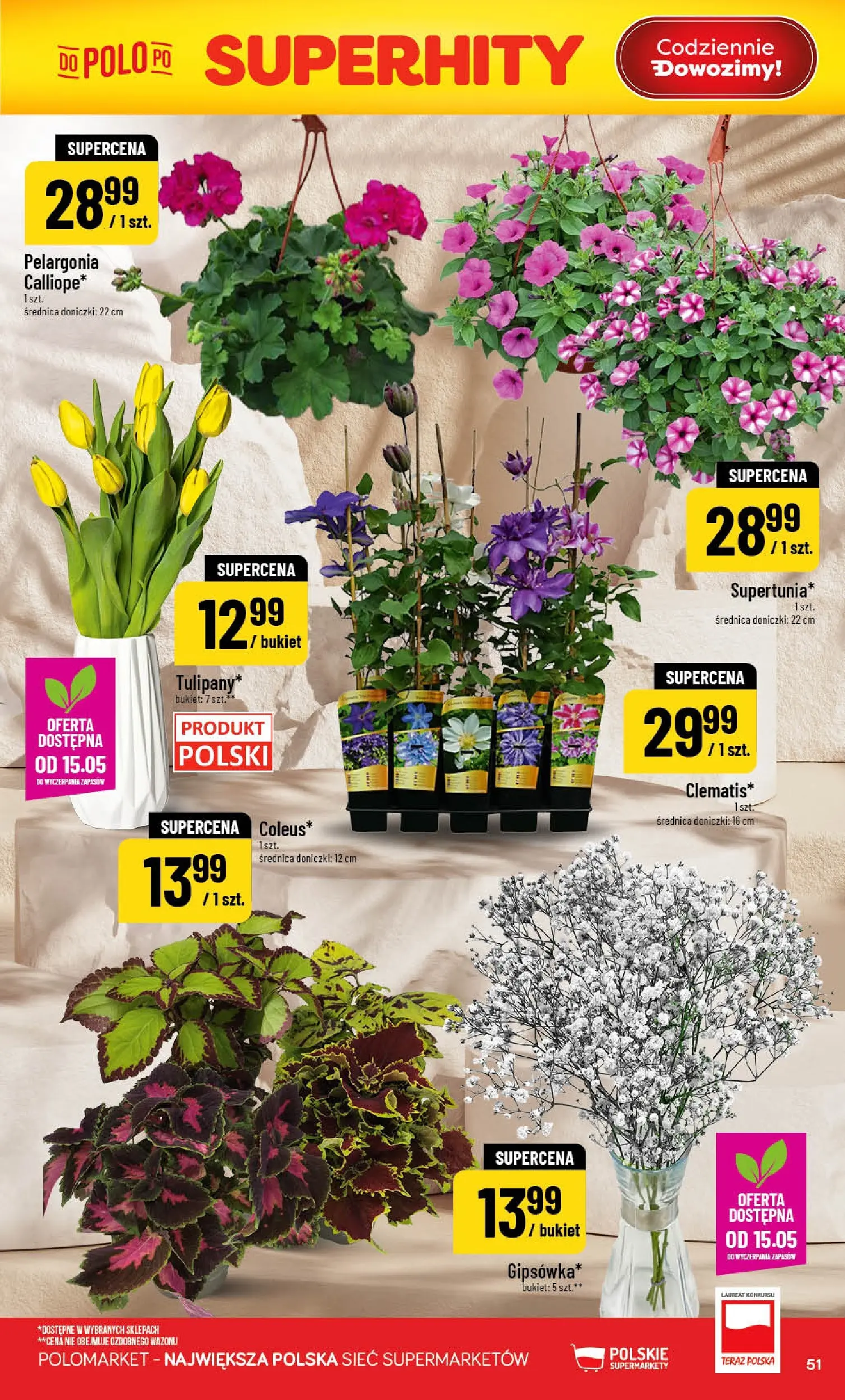 Nowa POLOmarket gazetka od jutra 13.05.2026 | Strona: 51 | Produkty: Doniczki