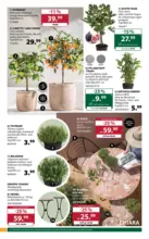 Dehner Hohenems Dehner: Garten & Zoo - bis 23.05.2026