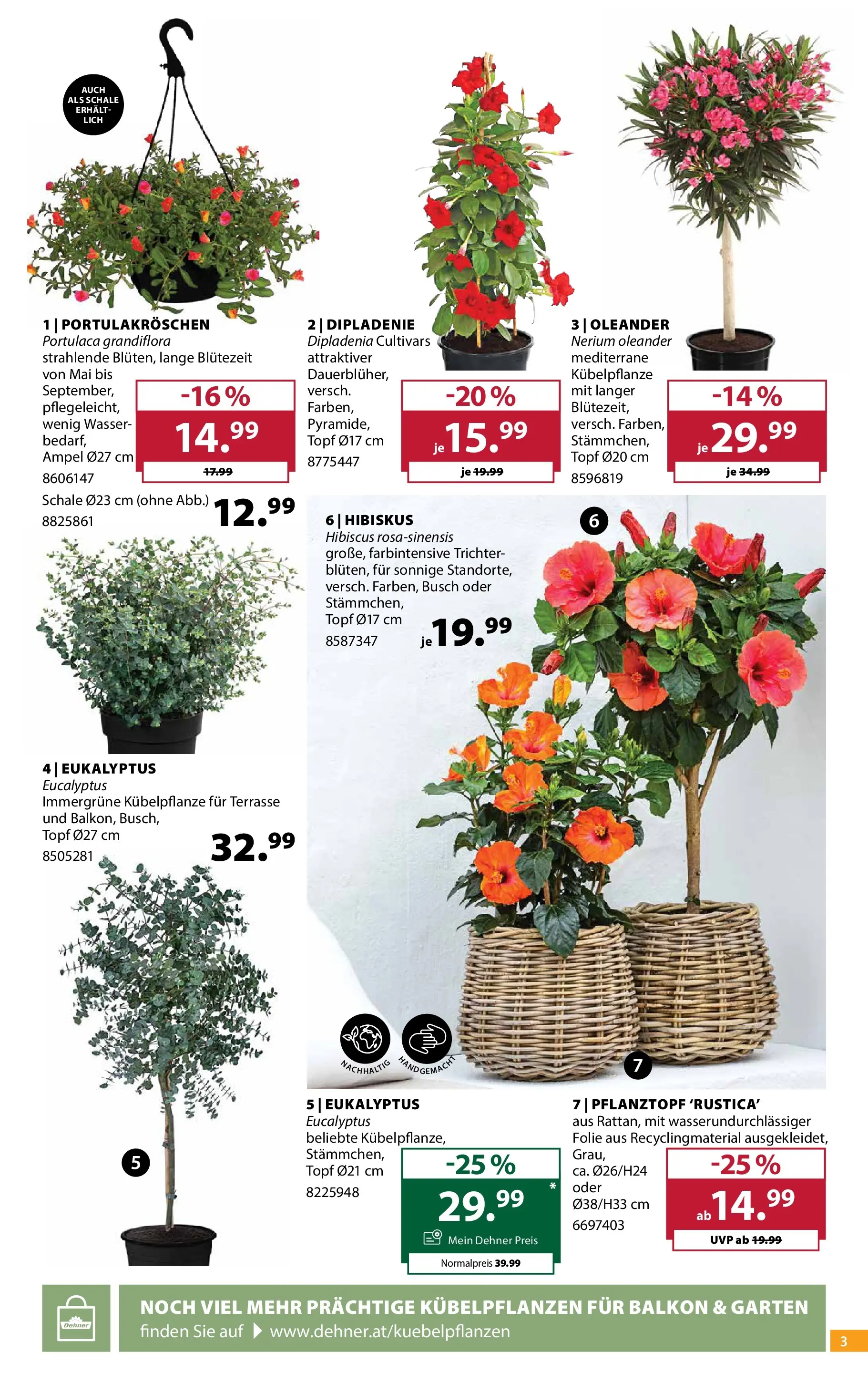 Dehner - Dehner: Garten & Zoo von 18.05.2026 - Aktuelle Angebote | Seite: 3 | Produkte: Wasser