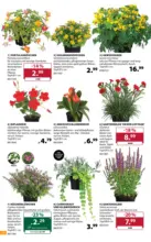 Dehner Hohenems Dehner: Garten & Zoo - bis 23.05.2026