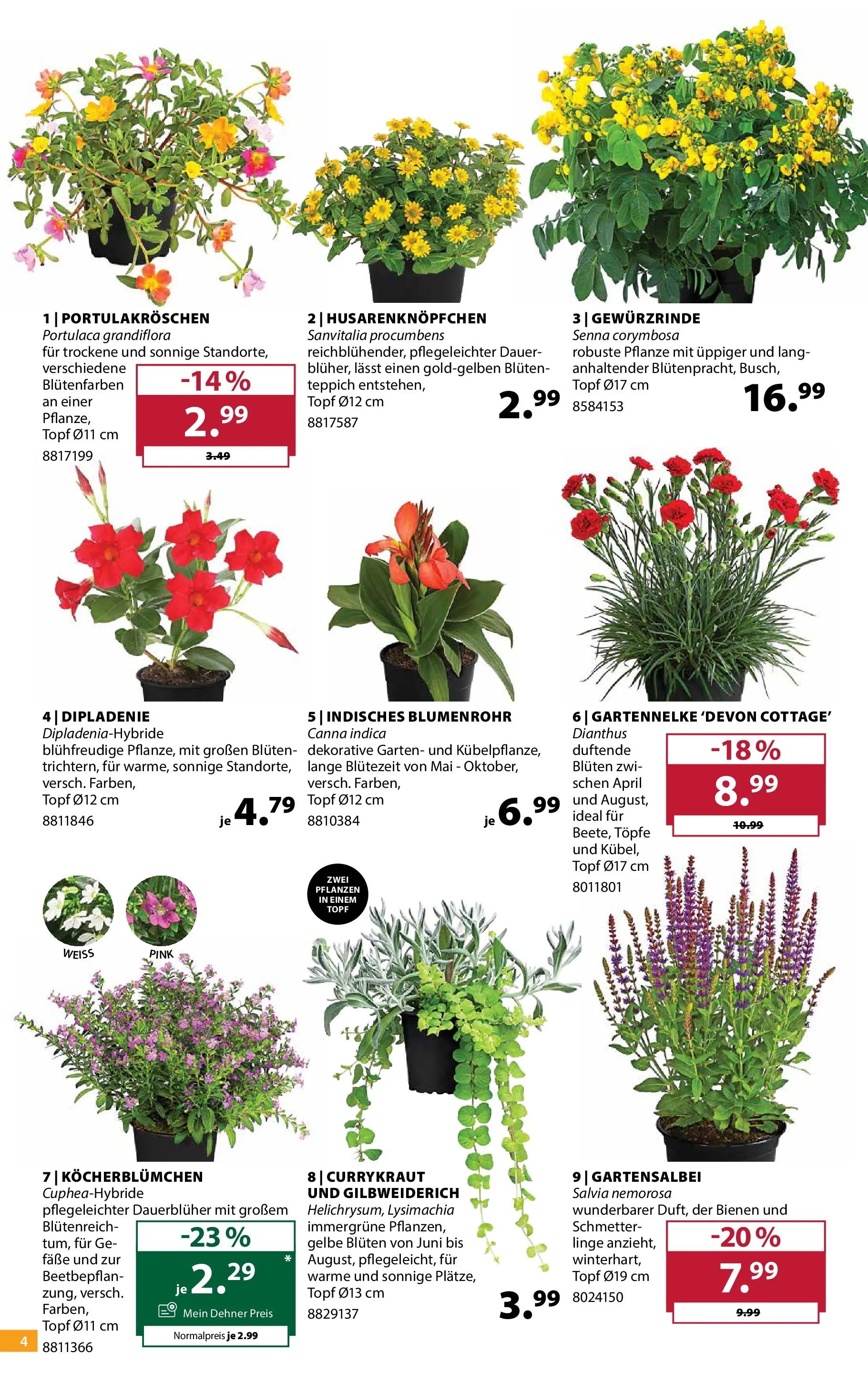 Dehner - Dehner: Garten & Zoo von 18.05.2026 - Aktuelle Angebote | Seite: 4 | Produkte: Teppich