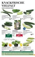 Dehner Hohenems Dehner: Garten & Zoo - bis 23.05.2026