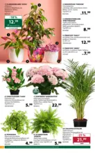 Dehner Hohenems Dehner: Garten & Zoo - bis 23.05.2026