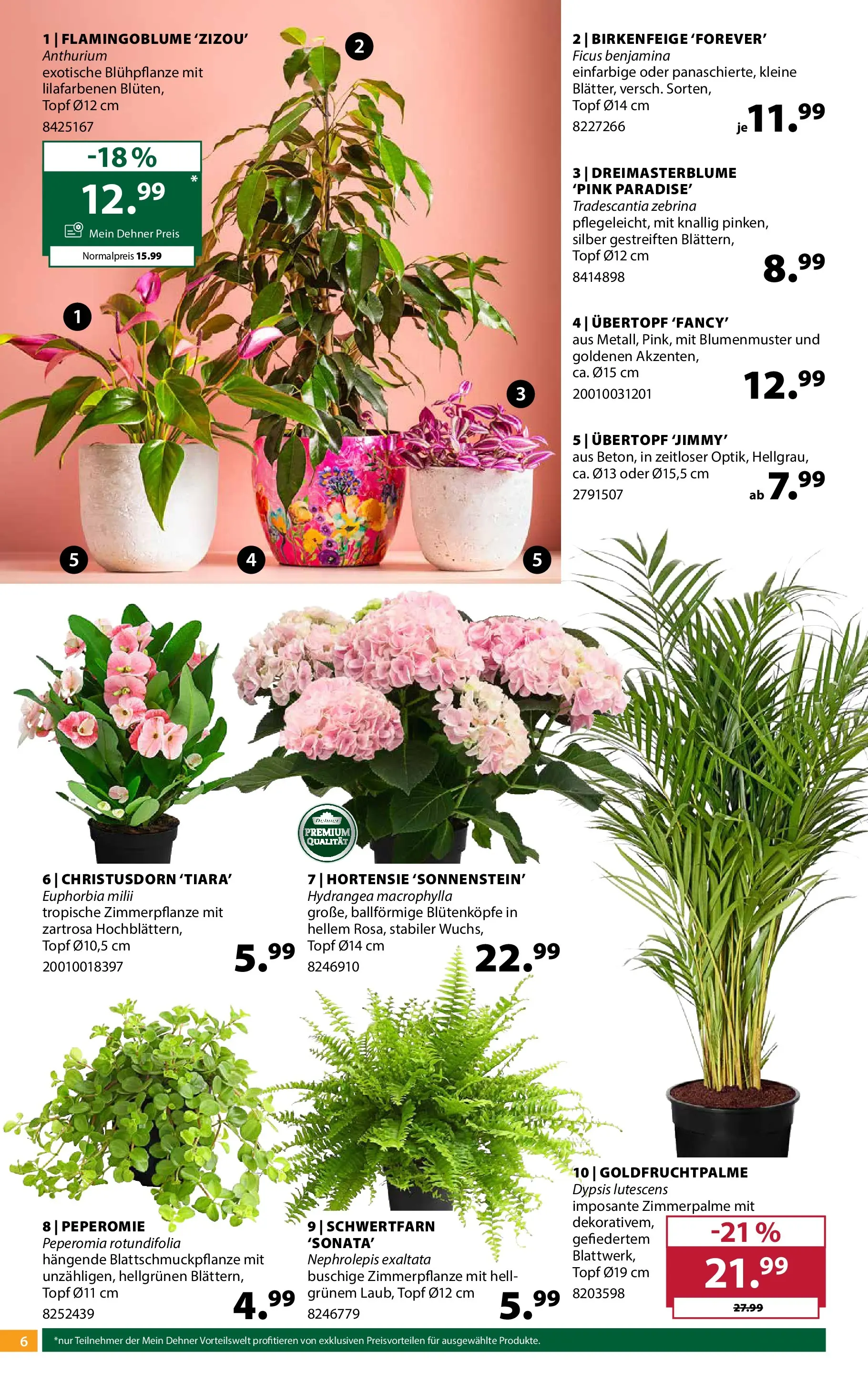 Dehner - Dehner: Garten & Zoo von 18.05.2026 - Aktuelle Angebote | Seite: 6