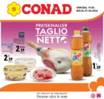 D.A.O. soc. coop. Taglio netto - al 01.06.2026