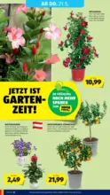 HOFER HOFER: Flugblatt - ab 15.05.2026