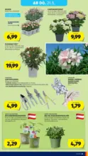 HOFER HOFER: Flugblatt - ab 15.05.2026
