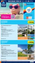 HOFER HOFER: Flugblatt - ab 15.05.2026