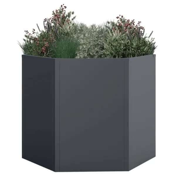 Westmann Hochbeet Varia