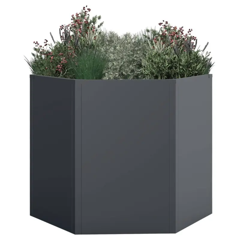 Westmann Hochbeet Varia
