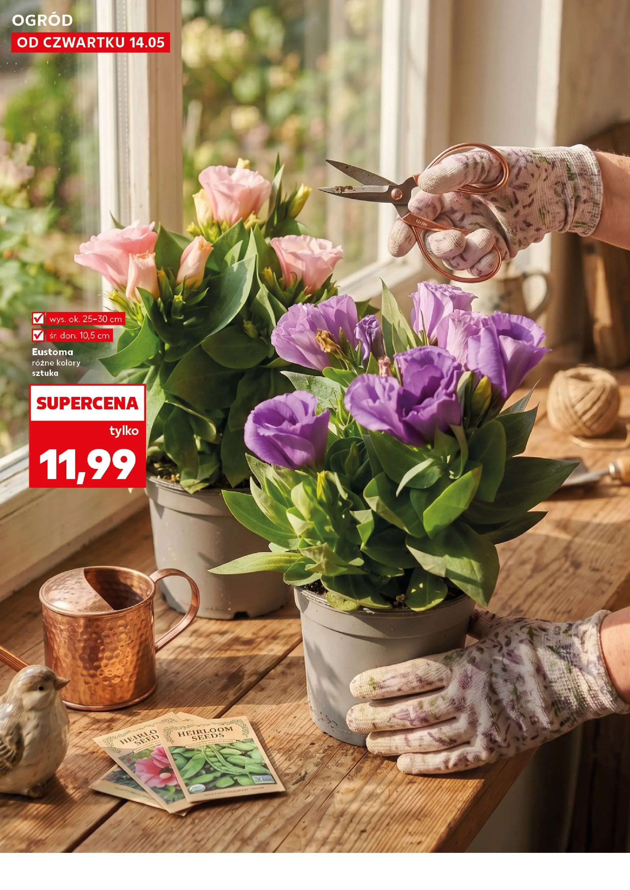 Kaufland gazetka - Ogród od 14.05.2026 - od jutra PDF | Strona: 10