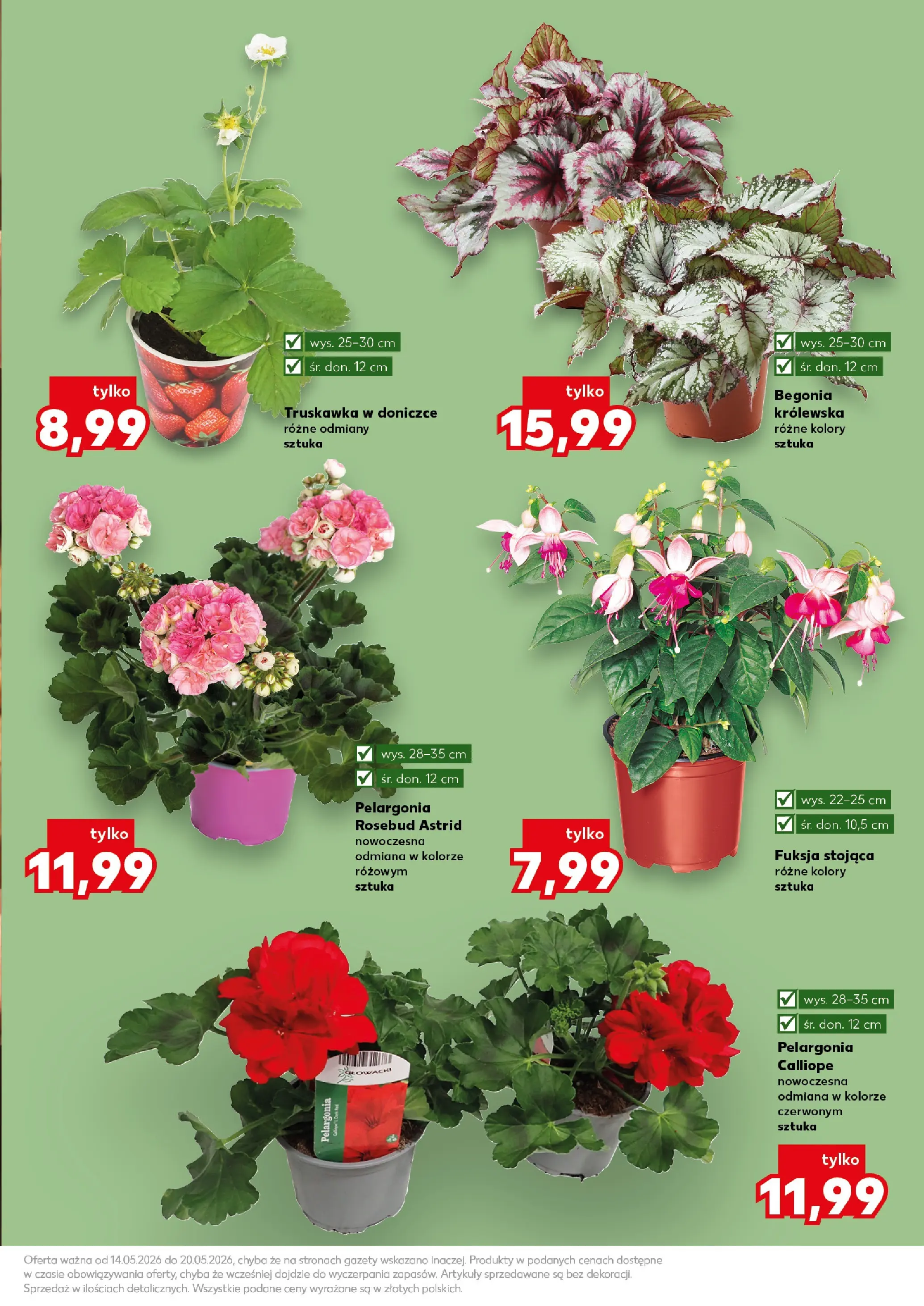 Kaufland gazetka - Ogród od 14.05.2026 - od jutra PDF | Strona: 11