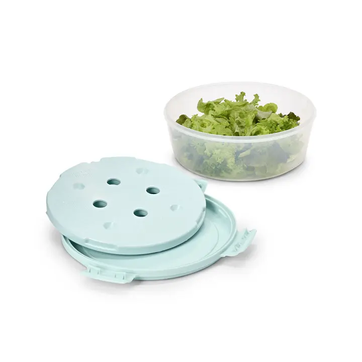 Salatsch&uuml;ssel mit K&uuml;hlakku