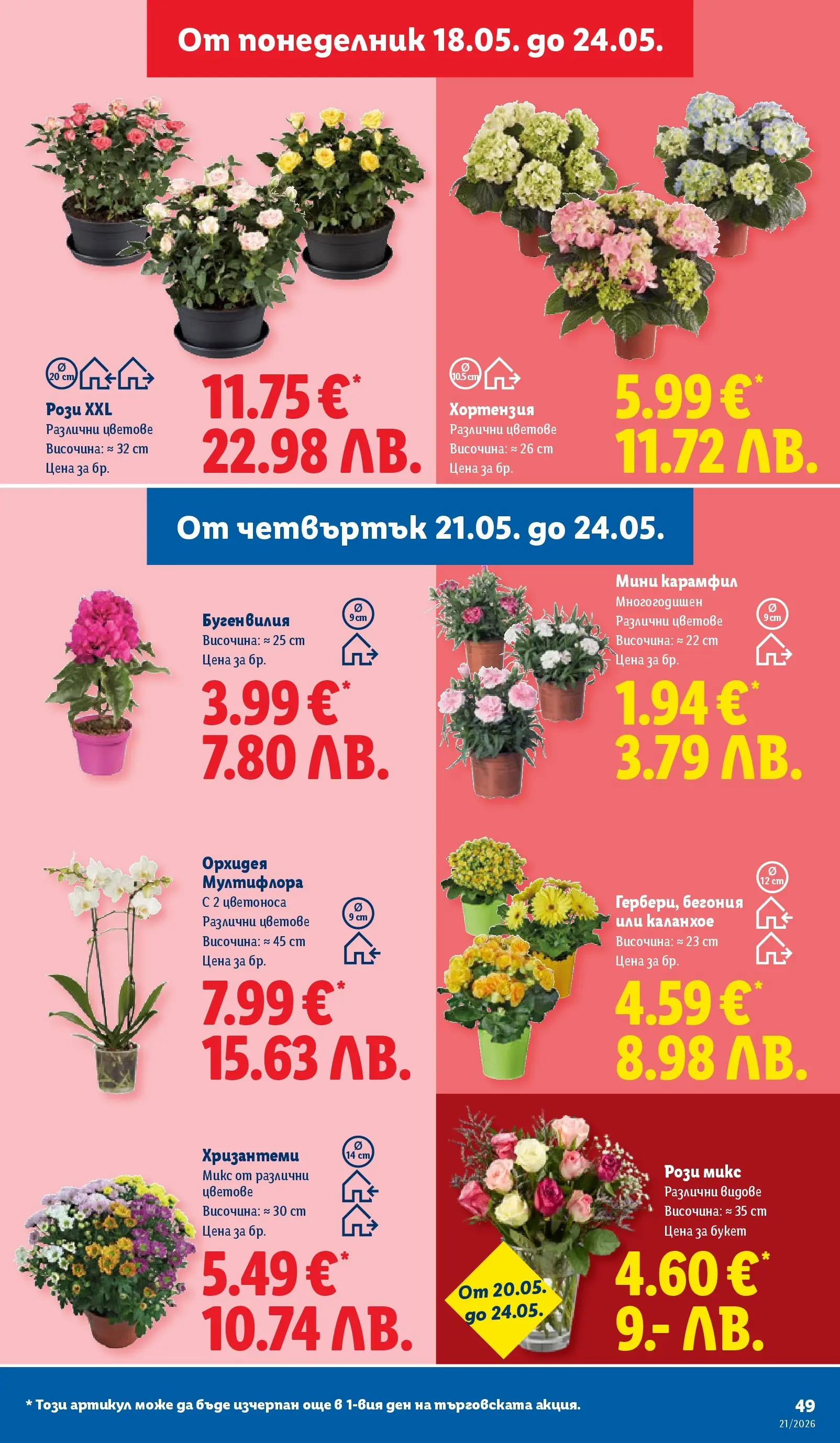 Лидл - Топ марки на топ цени в ЛИДЛ с валидност до 24.05.2026 от 17.05.2026 | Страница: 49 Лидл - Топ марки на топ цени в ЛИДЛ с валидност до 24.05.2026 от 17.05.2026 | Страница: 49