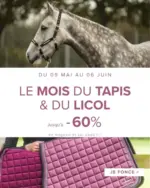 Padd Mois du tapis & licol - au 06.06.2026