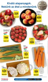 Tesco &uacute;js&aacute;g &eacute;rv&eacute;nyess&eacute;ge 2026.05.20-ig