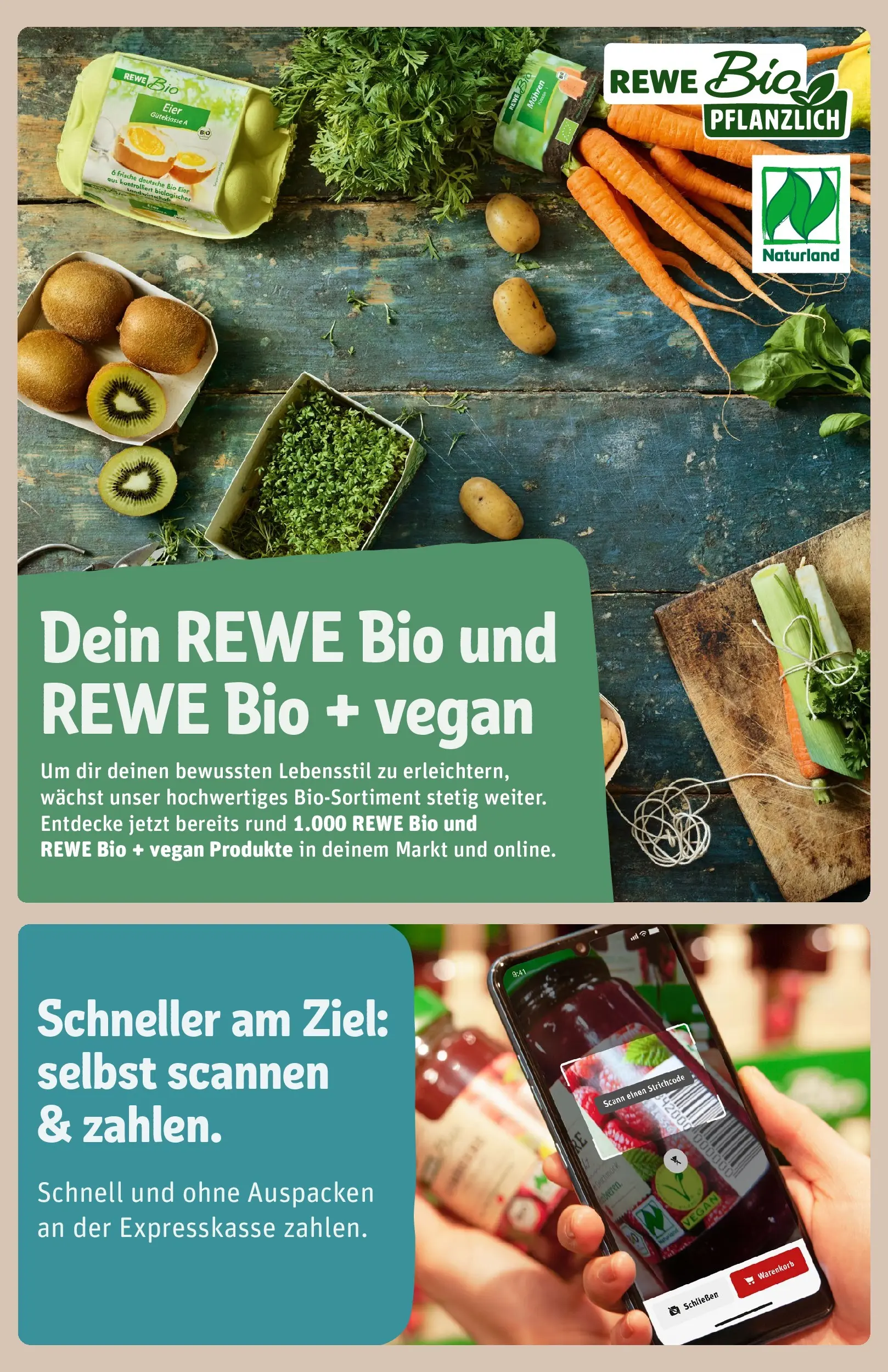 REWE Prospekt ab 17.05.2026 zum Blättern » Angebote | Seite: 35 | Produkte: Eier, Mohren