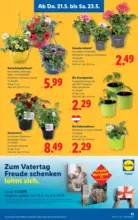 Lidl Lidl - ab 21.05.2026