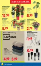 Lidl Lidl - ab 21.05.2026