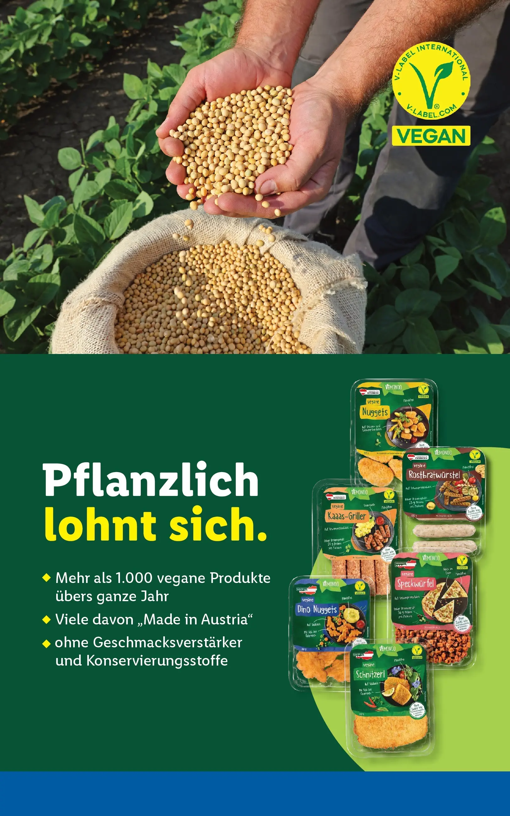 Lidl - Lidl ab 20.05.2026 - Angebote ab donnerstag | Seite: 50