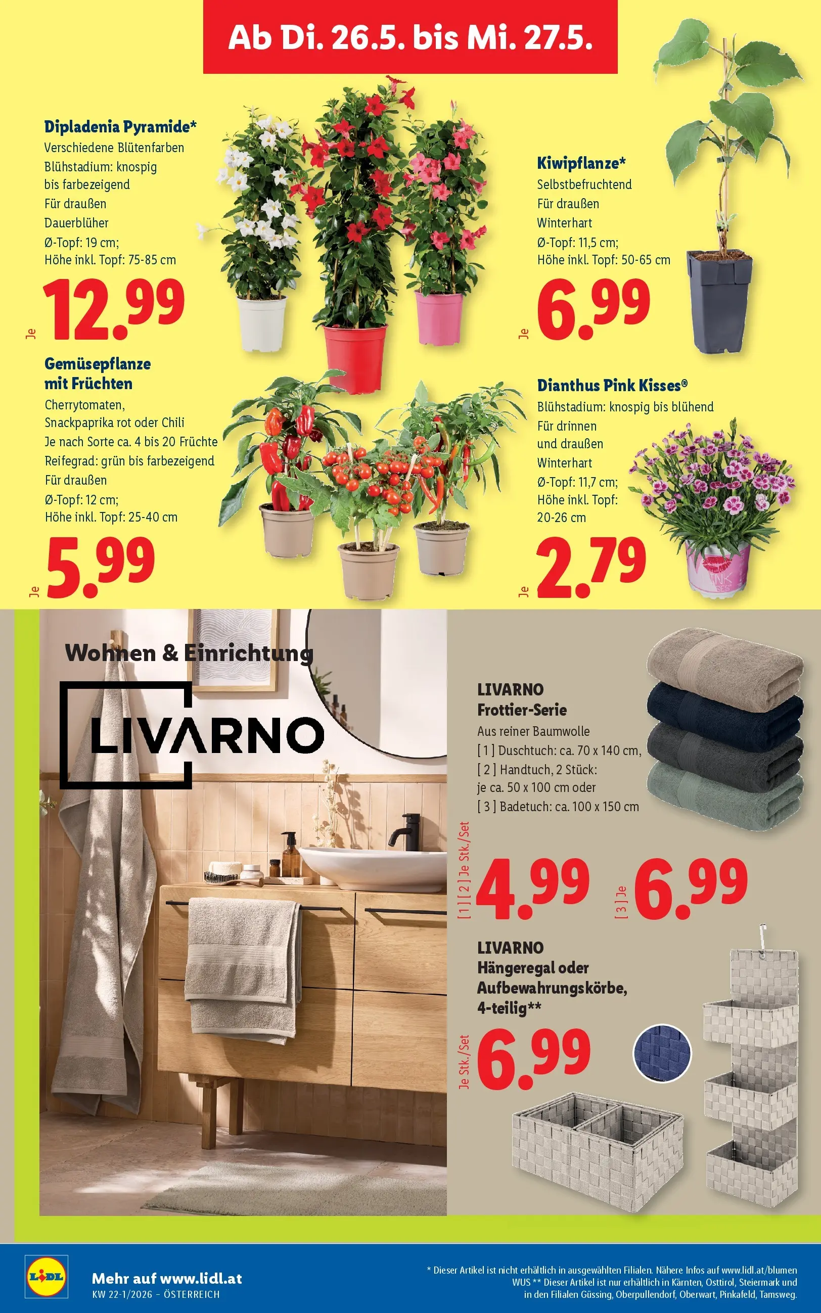 Lidl - Lidl ab 20.05.2026 - Angebote ab donnerstag | Seite: 29 | Produkte: Chili