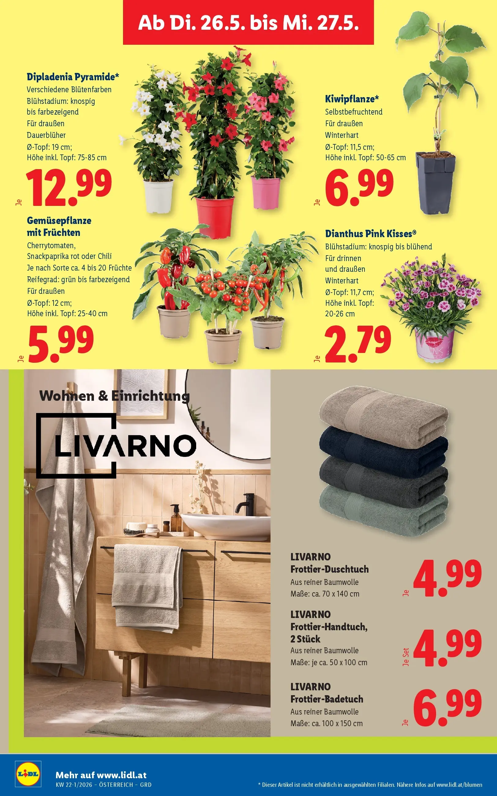 Lidl - Lidl ab 20.05.2026 - Angebote ab donnerstag | Seite: 29 | Produkte: Chili