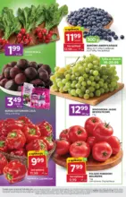 Najlepsze oferty i rabaty