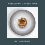 Degrenne COLLECTION L RAYON NOIR - au 30.06.2026