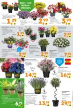 Globus Baumarkt: Wochenangebote