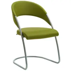 Stuhl Lederauswahl, Stoffauswahl Echtleder Edelstahlfarben, Limette