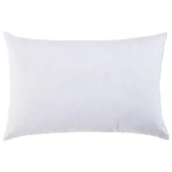 F&uuml;llkissen Federn 40/60 cm