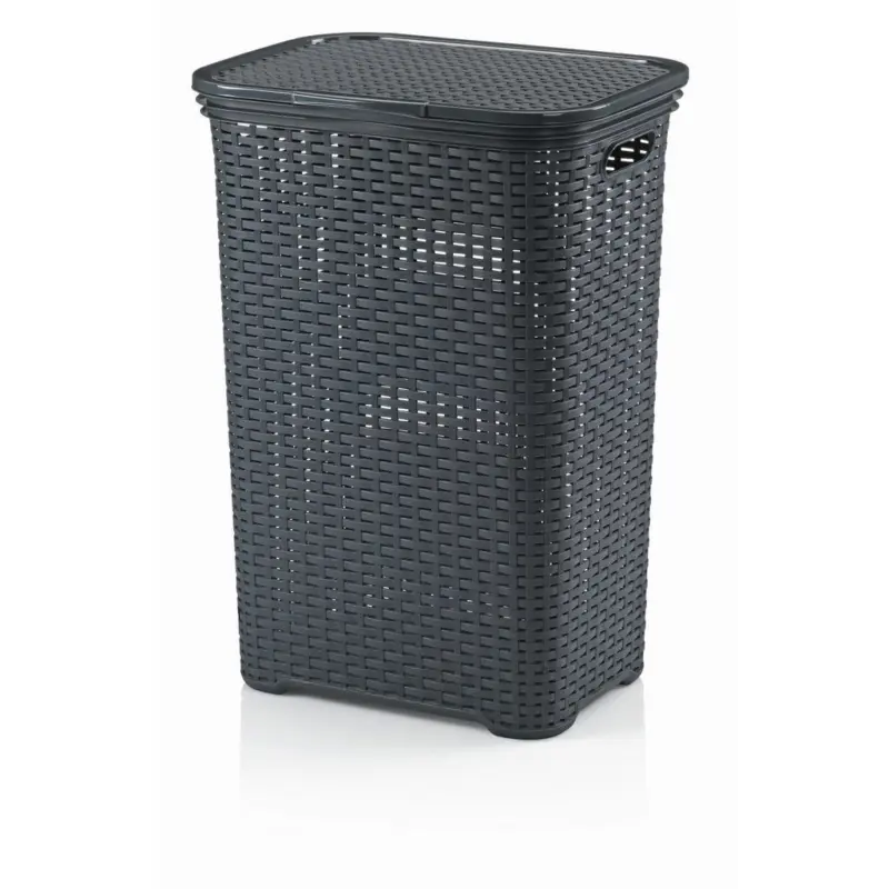 W&auml;schetonne