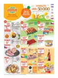 Globus 21 26 L1