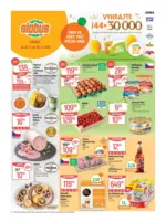 Globus 21 26 L1