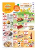 Globus 21 26 L1
