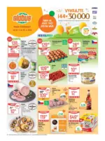 Globus 21 26 L1