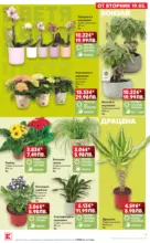 Kaufland хипермаркет Вземи XTRA с Kaufland предложения с валидност до 24.05.2026 - до 24-05-26
